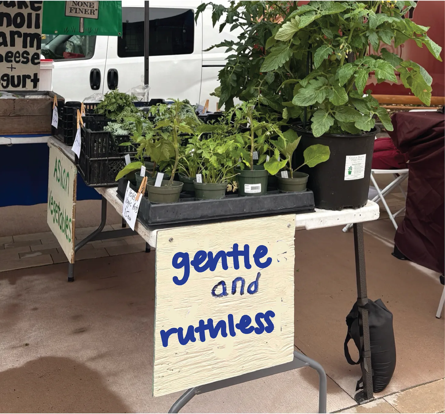 A photo of a farmer's market stand with the poster edited to say 'gentle and ruthless'.
